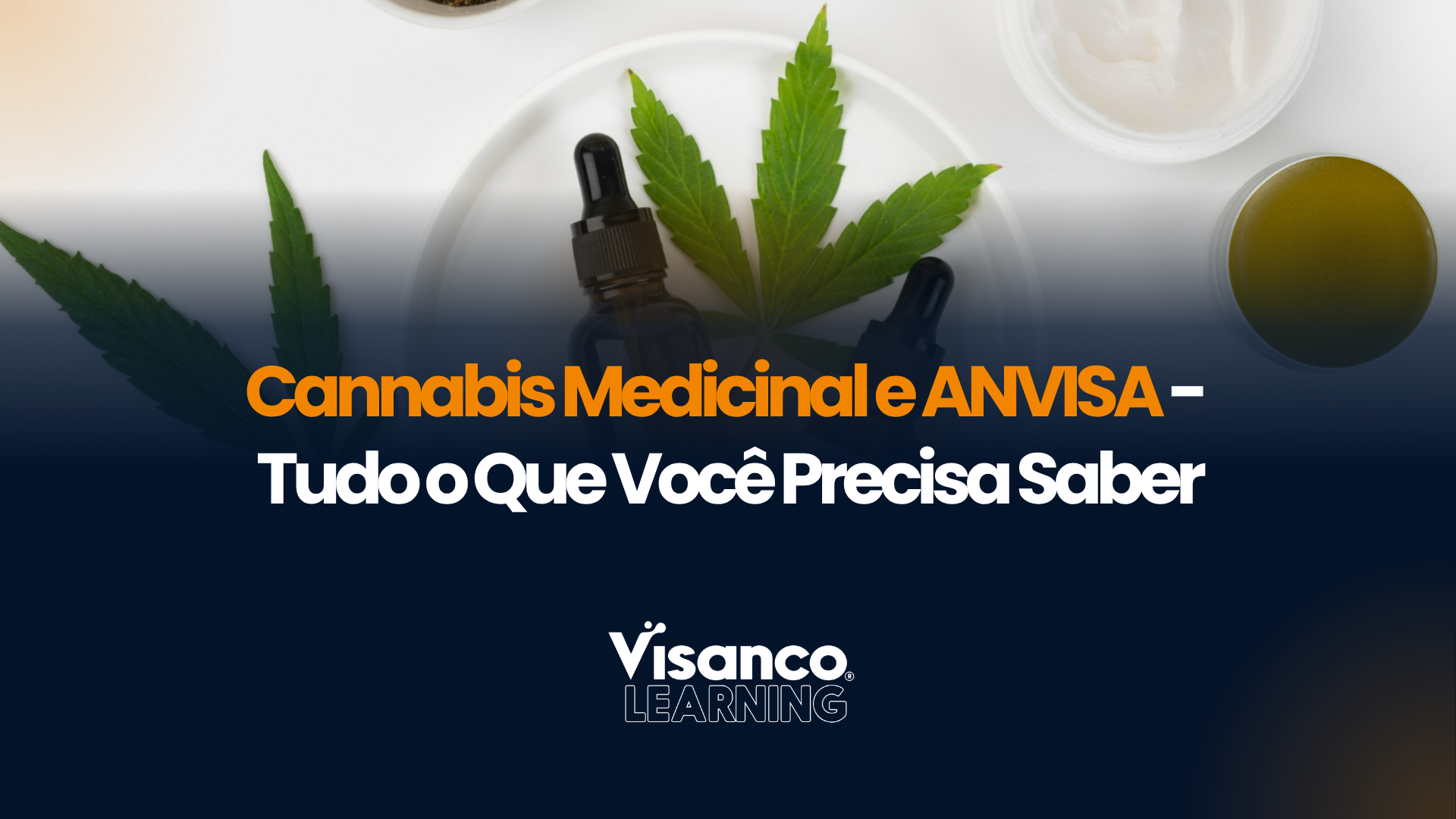 Cannabis Medicinal e Anvisa: tudo o que você precisa saber